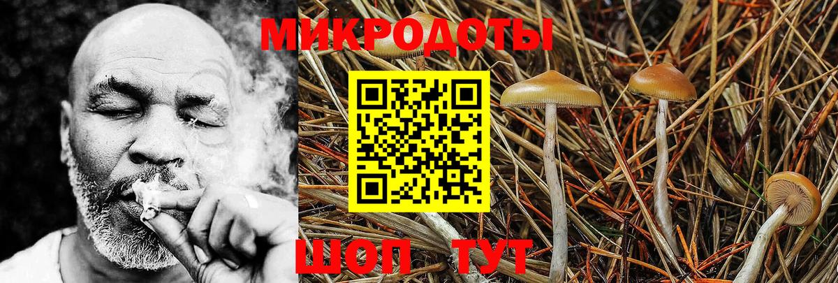 Псилоцибиновые грибы мицелий Железноводск