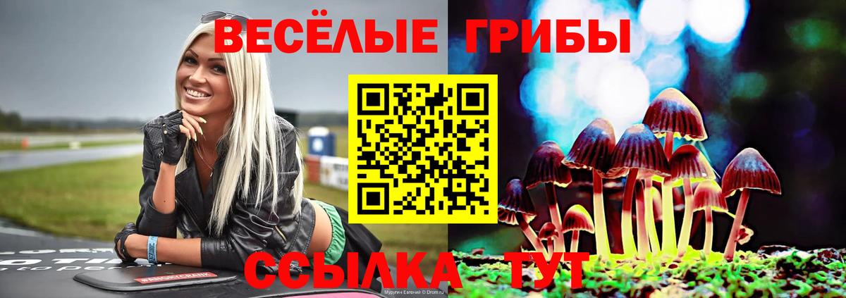 Псилоцибиновые грибы Psilocybe  Вход с VPN  Железноводск 